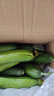 【超市品質(zhì)】山東新鮮水果黃瓜嫩青瓜生吃蘸醬生鮮蔬菜減肥搭配 山東水果黃瓜 2斤 凈重 曬單實(shí)拍圖