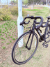 喜德盛公路自行車(chē)25款Rc200成人車(chē)14速變速車(chē) 黑銀700C*510MM 曬單實(shí)拍圖