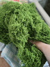 仿真苔蘚草皮仿生青苔假苔蘚仿真草坪花盆鋪面草盆栽綠植造景擺件 【深綠色200克】仿真絲狀苔蘚 曬單實(shí)拍圖