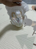 好奇（Huggies）軟萌星人柯基褲拉拉褲XL28片(12-17kg)尿不濕【軟糯貼貼】 曬單實(shí)拍圖