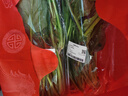 大菠菜300g 曬單實(shí)拍圖