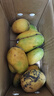 正宗臺農芒果熱帶肉厚甜心芒熱帶當季新鮮水果整箱 帶箱2斤單果 曬單實(shí)拍圖