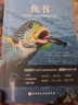 魚(yú)書(shū) 印度洋—太平洋珊瑚礁生物（900種海洋生物+1000張高清全彩圖片，一分鐘認識海洋生物） 曬單實(shí)拍圖