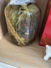 瀘州老窖瀘州紅高粱酒 60度5L濃香型桶裝散酒純糧食白酒 泡藥酒泡楊梅用酒 曬單實(shí)拍圖