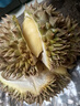 松筱泰國金枕榴蓮新鮮【多地次日達】整個(gè)帶殼鮮果榴蓮水果 30年商超級老樹(shù)果 精選【3斤】包2-3房 凈重2.5斤起 曬單實(shí)拍圖
