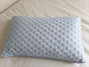 海瀾之家（HLA）蕎麥枕A類(lèi)蕎麥皮枕涼豆豆枕頭夏天花草護頸椎枕蕎麥殼涼枕帶枕套 【送涼豆豆枕套】 單只 水波藍 曬單實(shí)拍圖
