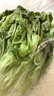 生菜約500g 曬單實(shí)拍圖