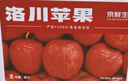 京鮮生陜西洛川紅富士?jì)糁?斤75-80mm單果170g+新鮮水果源頭直發(fā) 曬單實(shí)拍圖