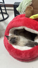 圣誕蘋(píng)果冬季保暖貓窩半封閉蒙古包冬天狗窩中大尺寸安全感寵物窩 紅蘋(píng)果寵物窩 S（35*35*33cm）6斤內 曬單實(shí)拍圖