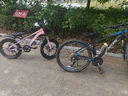 鳳凰官方旗艦店兒童自行車(chē)男女變速青少年學(xué)生山地車(chē)碟剎賽車(chē) 星際 粉紫【單速】三刀輪 20寸【適合125-160cm】 曬單實(shí)拍圖