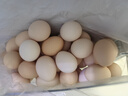 九華糧品散養土雞蛋40枚 凈重3斤  鮮雞蛋 林區散養 京東自營(yíng) 曬單實(shí)拍圖