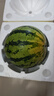 【瓜越大越甜】4-9斤麒麟西瓜超甜冰糖西瓜當季有黑籽保熟 瓜越大越甜 4-5斤整顆凈重 曬單實(shí)拍圖
