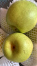 京地達梨碭山翠玉梨翠冠香梨新鮮水果凈重8.8斤單果250g+源頭直發(fā) 曬單實(shí)拍圖