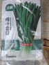 北蔬 韭菜種子苗老品種小細葉農家冬春四季蔬菜種籽 細葉雪韭種子120g 曬單實(shí)拍圖
