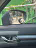 TOKUSET后視鏡小圓鏡汽車(chē)倒車(chē)神器反光盲區輔助鏡子360度超清廣角小車(chē) 曬單實(shí)拍圖
