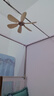 美的（Midea） 小吊扇小型電風(fēng)扇蚊帳扇家用學(xué)生宿舍風(fēng)扇床上風(fēng)扇輕音電風(fēng)扇吊式小電扇 FC45-EB 機械旗艦款 曬單實(shí)拍圖