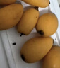 譯蒙之味【順豐速運】四川攀枝花米易甜枇杷新鮮水果當季孕婦大五星甜琵琶 精選15枚【單果20g-30g】嘗鮮裝 曬單實(shí)拍圖
