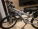 鳳凰兒童自行車(chē)6-12歲自行車(chē)學(xué)生12-18歲大童山地自行車(chē)雙碟剎帶減震 銀白色-變速輻條輪 22寸（適合身高140-155cm） 曬單實(shí)拍圖