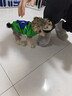 MIKI PAD狗狗衣服春秋薄款背心貓咪衣服寵物毛衣中小型犬比熊泰迪雪納瑞 萌趣云朵毛衣 S 胸圍33cm(參考體重3-6斤) 曬單實(shí)拍圖