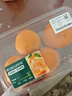 【產(chǎn)地直采】春見(jiàn)耙耙柑 約950g 曬單實(shí)拍圖