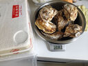 燈塔水母【鮮活】乳山生蠔牡蠣4XL號凈重5斤源頭直發(fā) 曬單實(shí)拍圖
