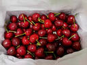 簡(jiǎn)線(xiàn)大連美早大櫻桃產(chǎn)地直發(fā)現摘鮮發(fā)國產(chǎn)車(chē)厘子5斤4J5J 900g(凈重) 超劃算 超大果3J 單果30-32mm 現摘鮮發(fā) 曬單實(shí)拍圖