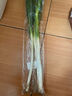 【農戶(hù)直通車(chē)】大蔥約500g 曬單實(shí)拍圖