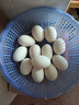 土鵝蛋正宗新鮮特大鵝蛋農家孕婦寶寶老人精選現撿現發(fā) 12枚 135-155克 曬單實(shí)拍圖