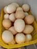 云依禾農莊 散養雞蛋新鮮現撿土雞蛋谷物蟲(chóng)草柴雞蛋笨雞蛋生鮮 土雞蛋50枚 曬單實(shí)拍圖