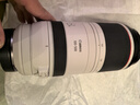 佳能（Canon）RF100-500mm F4.5-7.1 L IS USM 超遠攝變焦鏡頭【濾鏡防護套裝】 曬單實(shí)拍圖