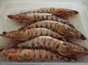 哆鮮生 海捕竹節蝦 野外生長(cháng)活凍國產(chǎn)斑節蝦大花對蝦九節竹節鬼蝦蝦類(lèi) 竹節蝦 特大號 5-6條 300g(凈重) 曬單實(shí)拍圖