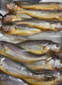 海名威冷凍寧德三去黃花魚(yú)600g/2條 大黃魚(yú) 生鮮魚(yú)類(lèi) 海鮮 地標產(chǎn)品 曬單實(shí)拍圖