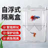 坤寧王*魚(yú)缸隔離盒孔雀魚(yú)繁殖盒鸚鵡魚(yú)斗魚(yú)小魚(yú)苗產(chǎn)卵孵化盒懸浮式小號 曬單實(shí)拍圖