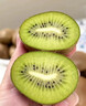 甜萌果蔬徐香獼猴桃【現摘/多地極速達】陜西水果綠心整箱批發(fā)當季翡翠果 *主推*15枚【專(zhuān)供SS+果】 單果90g+ 曬單實(shí)拍圖