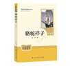 駱駝祥子（升級版）人教版名著(zhù)閱讀課程化叢書(shū) 七年級下冊 與25春新版初中語(yǔ)文教材配套使用（含微課，從教學(xué)角度講解名著(zhù)；含閱讀筆記本，提供測評指導幫助提升整本書(shū)閱讀能力） 曬單實(shí)拍圖