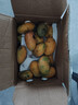 海南小臺甜心芒果臺農芒應季熱帶時(shí)令芒果水果整箱送禮 小臺芒凈重4.5-5斤單果80g+ 曬單實(shí)拍圖