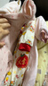 冬季嬰兒哈衣寶寶新年衣服加絨加厚連體衣新生兒棉衣外出冬衣爬服 大吉 【純棉，三層保暖】 66cm 曬單實(shí)拍圖
