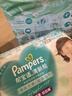 幫寶適超薄透氣清新幫拉拉褲新生兒嬰兒尿不濕尿片透氧Pro XXL68 曬單實(shí)拍圖