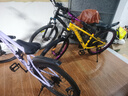 鳳凰山地自行車(chē)成年人男士女士學(xué)生變速碟剎減震全軸承山地車(chē)土坡車(chē) 檸檬黃/藍圖變速/鋁合金車(chē)架 26英寸（身高160-180左右） 24速-標準變速 曬單實(shí)拍圖