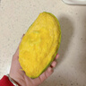 云南青芒玉芒果新鮮水果 應季孕婦水果現摘-熱帶水果 單果300g+ 5斤【凈重4.5斤】 曬單實(shí)拍圖