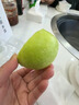 正宗山西青蘋(píng)果2026新鮮當季水果酸甜脆口孕婦老人小孩應季水果A 8.5斤【單果55mm+】 曬單實(shí)拍圖