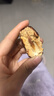 樓蘭蜜語(yǔ)六星一級和田大紅棗500g*2免洗即食駿棗滋補新疆特產(chǎn)零食節日送禮 曬單實(shí)拍圖