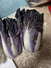 【花青素王者】新鮮紫羅蘭白菜紫色大白菜涼拌沙拉蔬菜山東紫白菜 凈重500g±100g精品紫白菜 曬單實(shí)拍圖