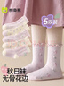 棉奇熊女童襪秋季薄款中筒襪兒童秋款童襪棉質(zhì)短襪春秋棉襪5雙-EW71-3-5 曬單實(shí)拍圖