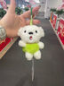 JOY&DOGA（mini款）毛絨玩具吉祥物公仔小狗毛絨玩偶擺件紀念品JOY站姿 曬單實(shí)拍圖