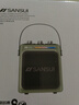 山水（SANSUI）T80 戶(hù)外K歌專(zhuān)用廣場(chǎng)舞音響藍牙音箱大音量低音炮手提藍牙音箱便攜式無(wú)線(xiàn)充電麥克風(fēng)樂(lè )器音響 綠色 曬單實(shí)拍圖