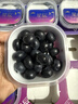 果蜜美云南星辰l花香藍莓鮮果小懶超能杯枝特大冠新鮮水果禮盒裝25 超大果 18-20 mm 藍莓順豐禮盒裝 900g L25花香藍莓 曬單實(shí)拍圖
