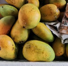 京鮮生海南小臺農芒果 凈重8斤 單果70g+ 新鮮水果 源頭直發(fā) 曬單實(shí)拍圖