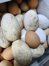 百世富澤（BAISHIFUZE）【百世富澤】黃河灘大鵝蛋新鮮正宗土鵝蛋農家自養孕婦超大鵝蛋 12枚115-130克 曬單實(shí)拍圖