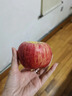 顧果鮮陜西紅富士蘋(píng)果應季新鮮孕婦水果不打蠟脆甜冰糖心當季整箱平果 9斤【凈重8.5斤】 中大果【75-80mm】 曬單實(shí)拍圖